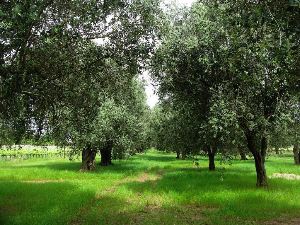Masseria San Polo Squinzano Exteriör bild