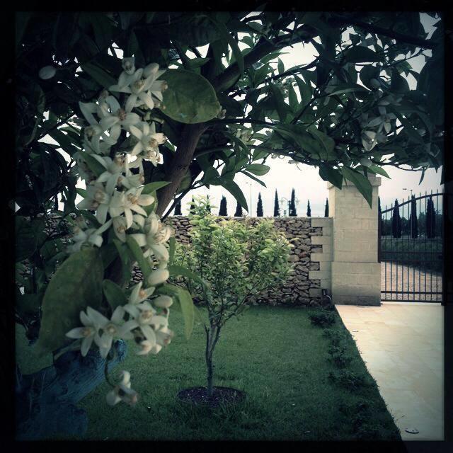Masseria San Polo Squinzano Exteriör bild